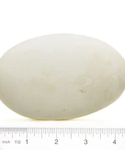 Kiwi Egg Hash