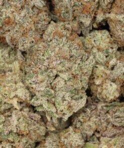 Gorilla Glue - Image 4