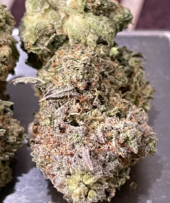 Alternative view of Gorilla Glue