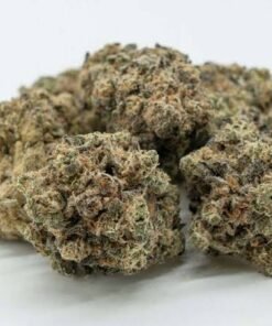 Gorilla Glue - Image 3