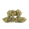 Girl Scout Cookies