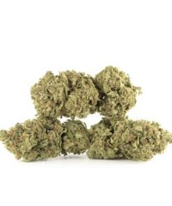 Girl Scout Cookies
