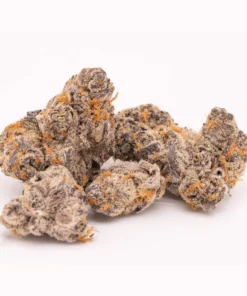 Lemon Cherry Gelato