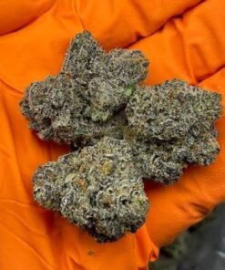 Lemon Cherry Gelato - Image 3