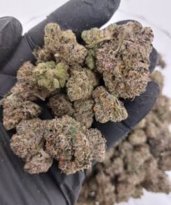 Alternative view of Lemon Cherry Gelato