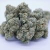 Gorilla Glue