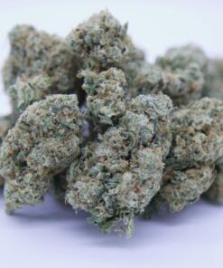Gorilla Glue