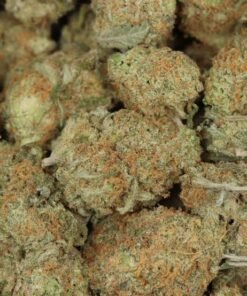 Girl Scout Cookies - Image 4