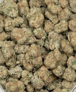 Girl Scout Cookies - Image 3