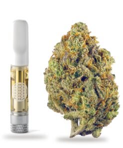 Lemon Haze - Image 4